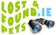 lost and found dogs