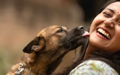 Why Does My Dog Lick Me?