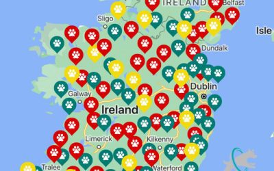 Off-Leash Dog Parks Near Me