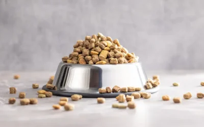 Best Dog Food