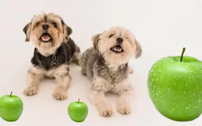 Can Dogs Eat Apples?