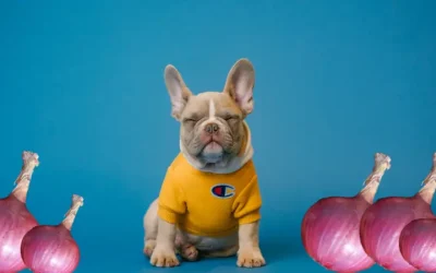 Can Dogs Eat Onions?