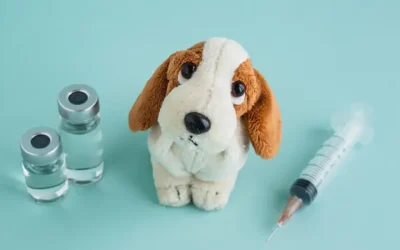 Puppy Vaccinations